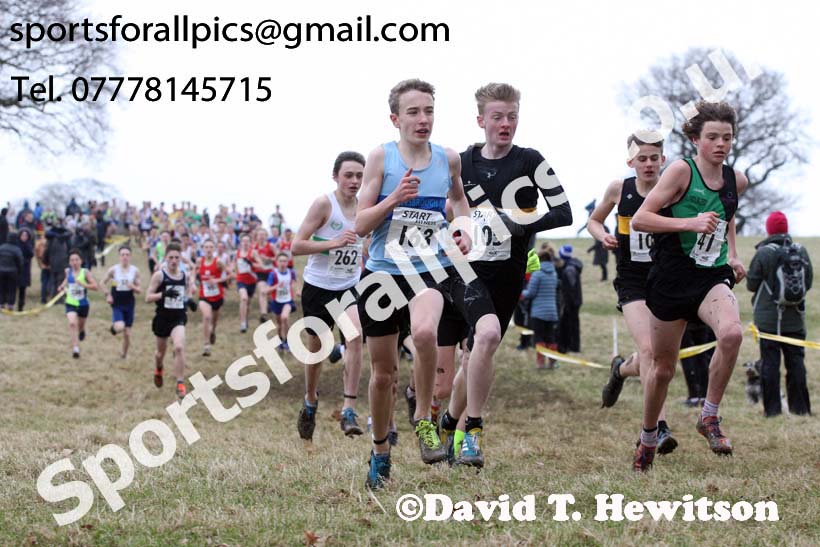 Boys under-15s, 2018 Northern Cross Country Champs., Harewood House, Leeds. Photo: David T. Hewitson/Sports for All Pics